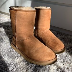 UGG AUSTRALIA Classic Short Boot in Chestnut